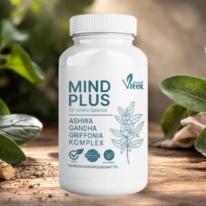 MindPlus
